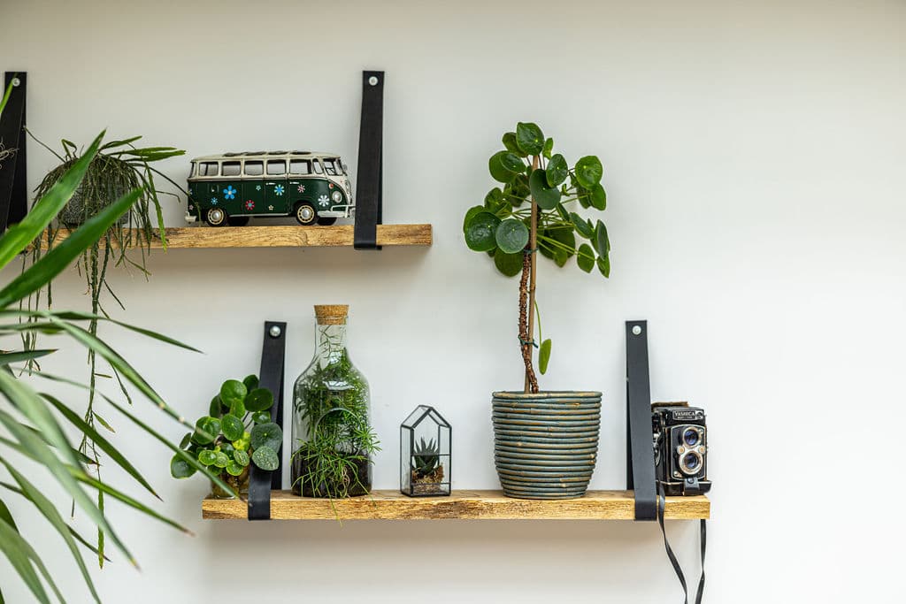 Wandplanken met decoratie in DeCreatie